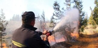 ბოლო 24 საათში, მეხანძრე-მაშველებმა ქვეყნის მასშტაბით ტყეებსა და მინდვრებში ხანძრის 100 კერა ჩააქრეს