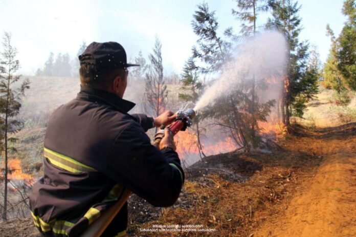 135581012_2486207591683458_7656419426343914856_o