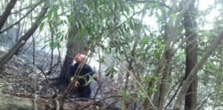 ქვეყანაში ტყის და მინდვრის ხანძარი 6 ლოკაციაზე ფიქსირდება