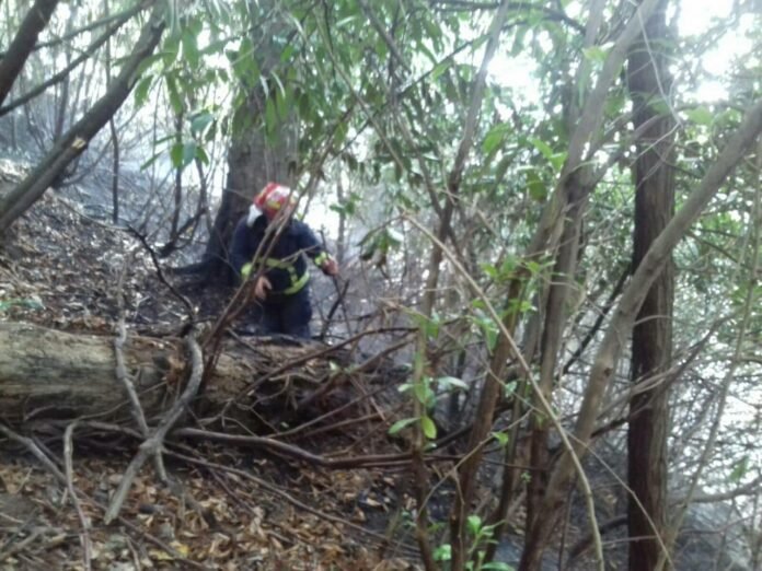 136781381_2488873164750234_8668777246458306144_o