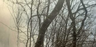 ცეცხლის ქრობის სამუშაოები 7 ლოკაციაზე გრძელდება