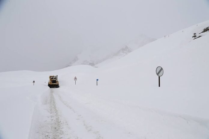 138288701_4828783090529087_7335812917850282996_n