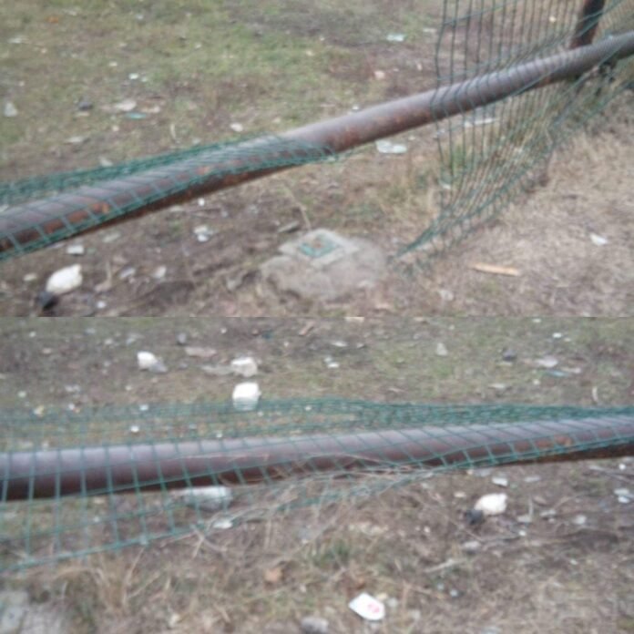 138802295_433554508007559_5269202845849322517_n