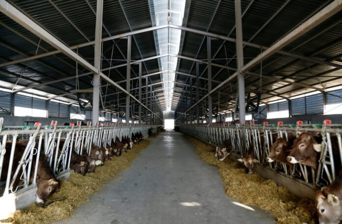 141188562_4298737886851577_3713201181859220444_o