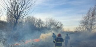 “შემოსულია 136 შეტყობინება ტყისა და მინდვრის ხანძრების შესახებ”