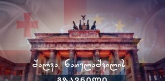 შალვა ნათელაშვილი ევროკავშირის ქვეყნებს მიმართავს