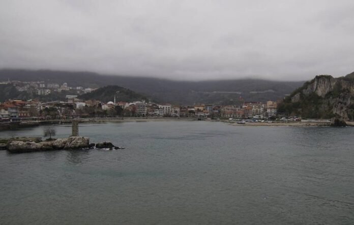 1610883055-5944593-e1610883064465