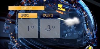 ქრონიკა 20:30-ზე 15.01.2021