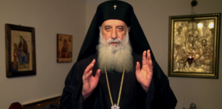 მეუფე გერასიმე: ყოველ კვირას, წირვის მერე მივდივართ და ტესტირებას ვიტარებთ