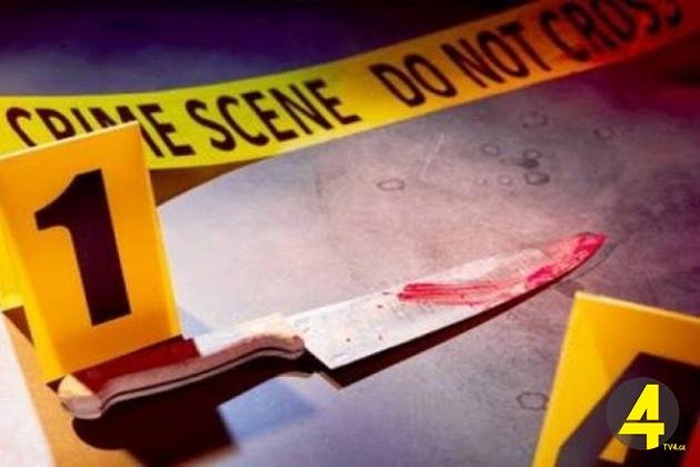 866536174026b37b526196f7edade317_L