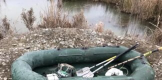 გარდაბანში უკანონო თევზჭერის ფაქტი გამოავლინეს