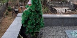 ქუთაისში სასაფლაოდან ნაძვის ხის სათამაშოები მოიპარეს