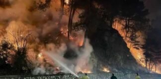 ძველი გაგრის ტერიტორიაზე ხანძრის ახალი კერა გაჩნდა