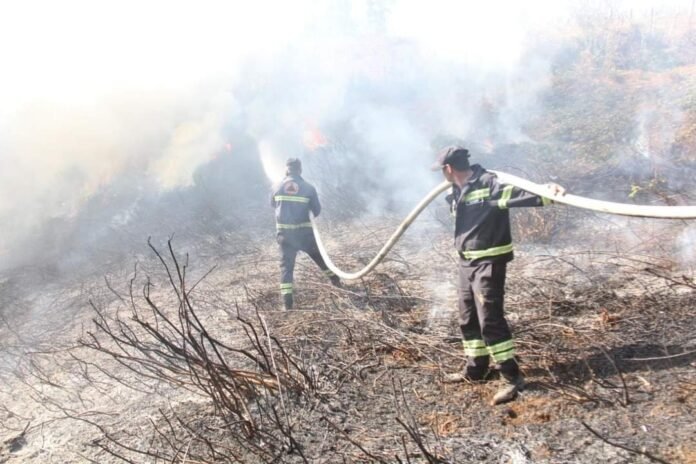 FB_IMG_1609827482670