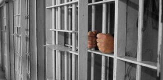 „ამნისტიის შესახებ“ კანონი ძალაში შევიდა