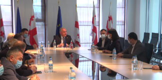 სახელმწიფო რწმუნებულმა 2020 წლის ანგარიში წარადგინა(+ვიდეო)