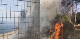 მწვანე კონცხზე ხანძარი გაჩნდა