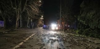 ფეიერვერკების გამო, რომის ქუჩები დახოცილი ფრინველებით დაიფარა