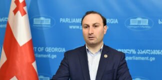 ოხანაშვილი: ოპოზიციის წარმომადგენლებს მოუწევთ კომისიის წინაშე მოსვლა
