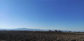 “სალამი” მეორე ქესალოში განვითარებულ მოვლენებს ეხმიანება