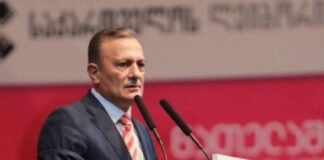 ნათელაშვილი: ეს პრეზიდენტი საფრანგეთისა მართლა პედოფილიის მსხვერპლია