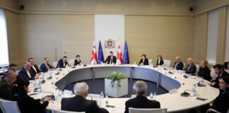 მაია ცქიტიშვილი და დავით ზალკალიანი ვიცე-პრემიერებად დაინიშნენ