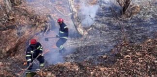 მეხანძრე-მაშველები ქვეყნის მასშტაბით, ხანძარს 11 ლოკაციაზე აქრობენ