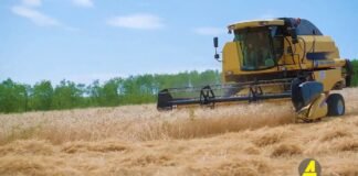 Xronika ქრონიკა აზერბაიჯანულ ენაზე 27.01.2021