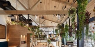 კვების ობიექტები დღეიდან ღია სივრცეებში სტუმრების მიღებას შეძლებენ