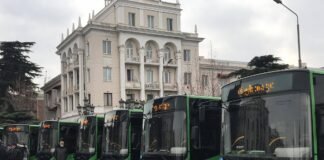 რა მარშრუტით იმოძრავებენ რუსთავში ავტობუსები? – სრული ჩამონათვალი