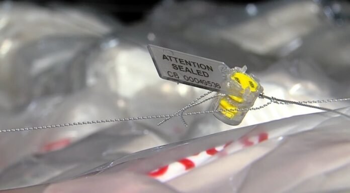 148575902_4664830583531323_1175470505851126542_n