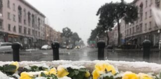 საქართველოში მოსალოდნელია ცივი და ნალექიანი ამინდი