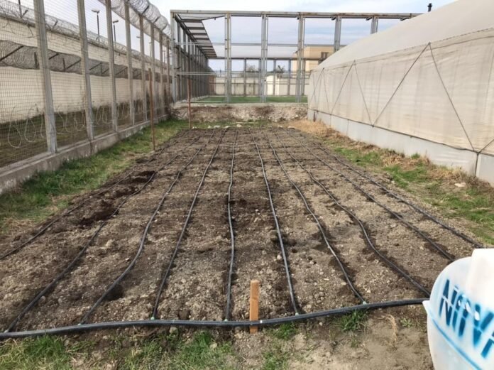 150996592_3719525274790143_3369166752226037093_n