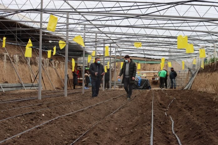 151056308_3937140326347057_6790517885105016344_o