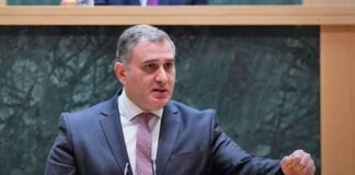 სარჯველაძე: პოლიციის მიზანი სამართლის აღსრულება იყო