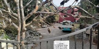 ბათუმის სკოლა პანსიონის აღსაზრდელებს კორონავირუსი დაუდასტურდათ