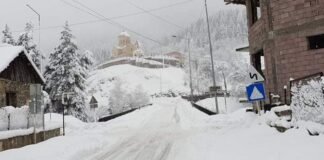 მესტიის მუნიციპალიტეტის სოფლებში დიდთოვლობამ პრობლემები შექმნა