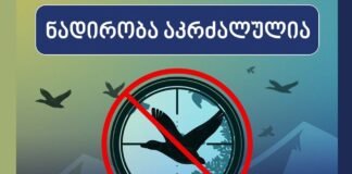 პირველი მარტიდან გადამფრენ ფრინველებზე ნადირობა იკრძალება