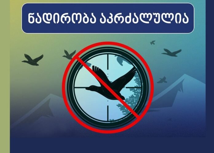 1614326849-154381946_4372915379403253_8541147972693759593_o