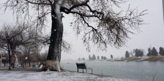 თოვლიანი რუსთავი- შენი ქალაქის ფოტო ამბავი