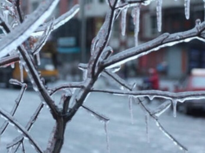 39ed6ec7334cbd620b086f3052569938_XL