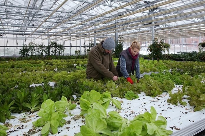 3b2bc0250c6b563892f848ba6308f4be_XL