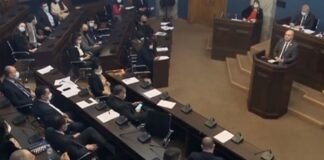პარლამენტის კომიტეტებმა ნიკა მელიასთვის იმუნიტეტის შეჩერებას მხარი დაუჭირა