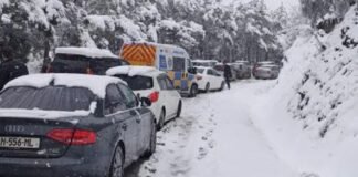 წყნეთის გზაზე ავტობუსის მოსაცდელი გადაყირავდა და არასრულწლოვანს დაეცა