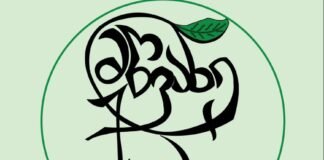 რუსთავში ეკოაქტივისტთა ახალი ჯგუფი “მწვანე ქაოსი” შეიქმნა