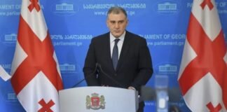 “შურისძიების ჟინით დაბრმავებული ოპონენტები უმტკიცებენ ხალხს, თითქოს გარეჯი საქართველო არ არის”