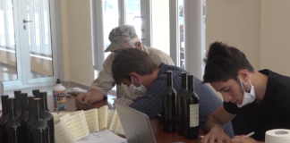 რაში ეხმარება ბოლნისის აგროცენტრი ადგილობრივ მეწარმეებს?(+ვიდეო)