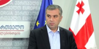 დავით ბაქრაძე “ევროპული საქართველოს” თავმჯდომარის პოსტს ტოვებს