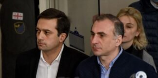 ელისაშვილი: ორნი კი ვართ, მაგრამ წარმოვადგენთ დამოუკიდებელ ოპოზიციურ პარტიას