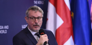 ჰარცელი: ევროკავშირი გვერდში უდგას საქართველოს ვირუსთან ბრძოლაში